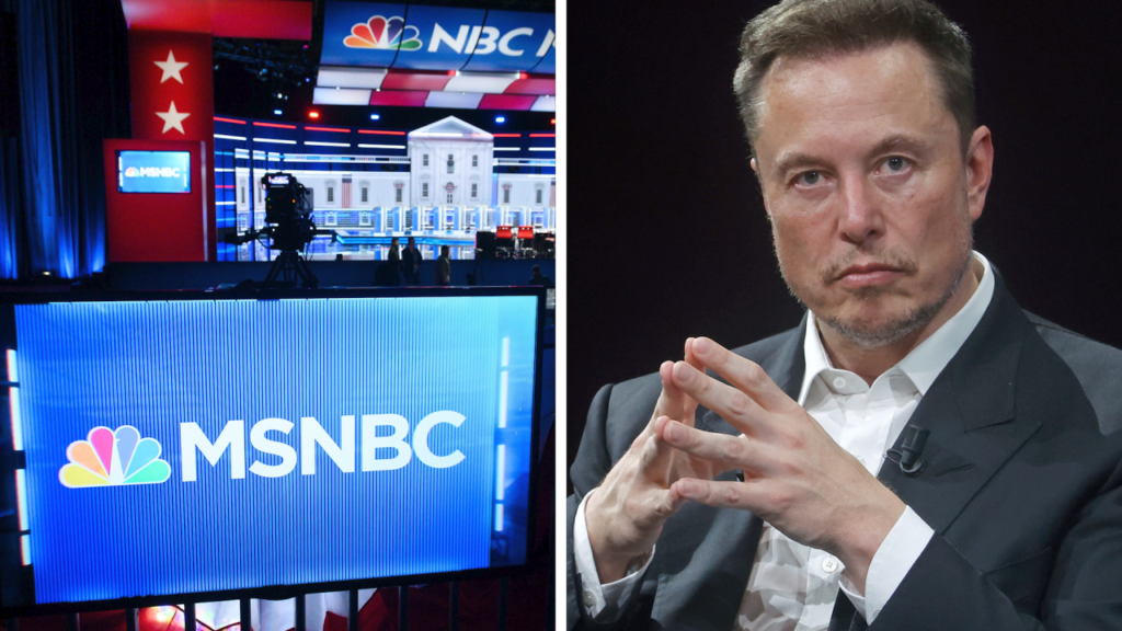 Elon Musk floats buying MSNBC, but he’s not the only billionaire who may be interested